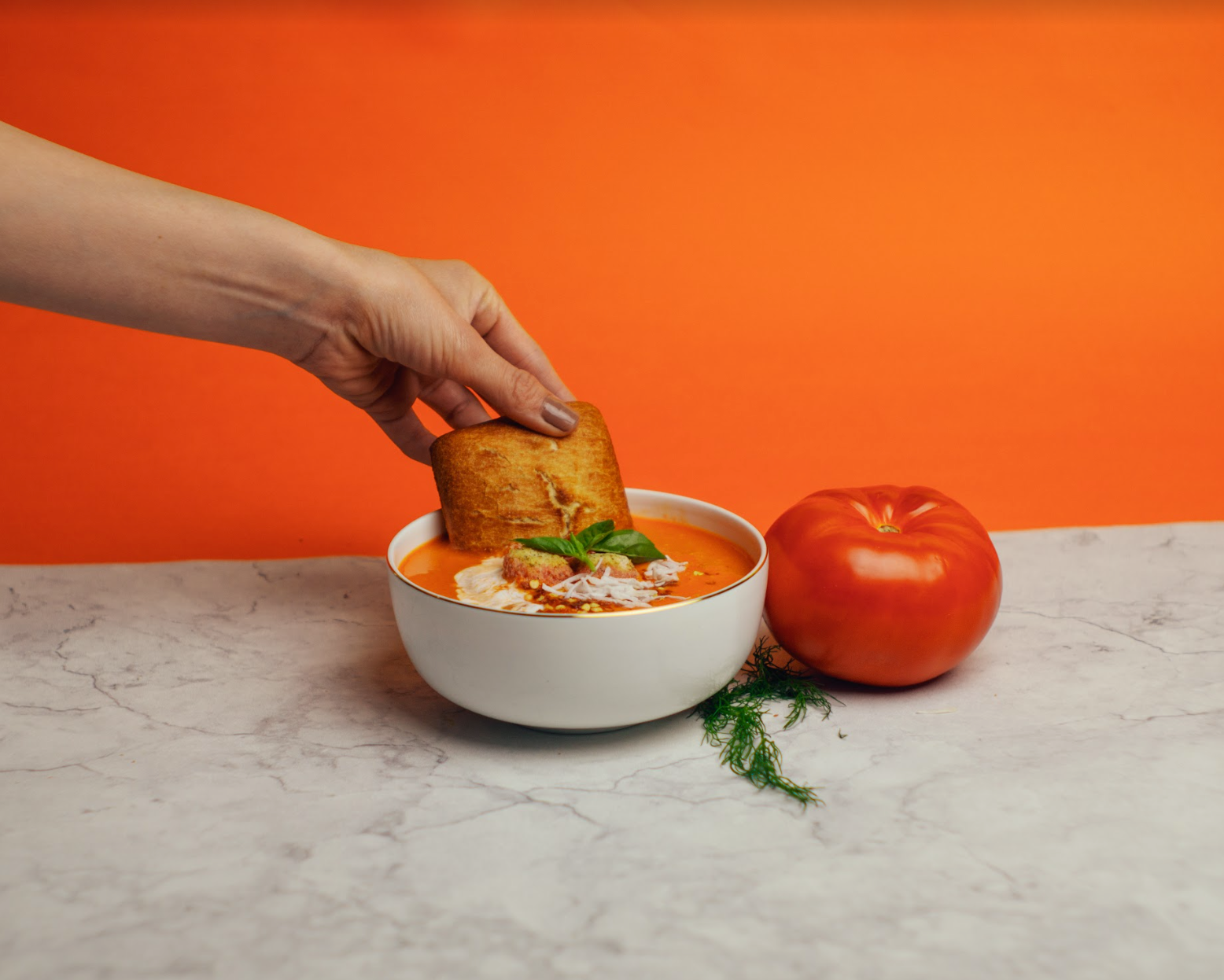 Bulk Roasted Tomato, Basil & Coconut Soup (6 x 64 oz bags)